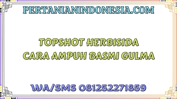 Topshot Herbisida Cara Ampuh Basmi Gulma